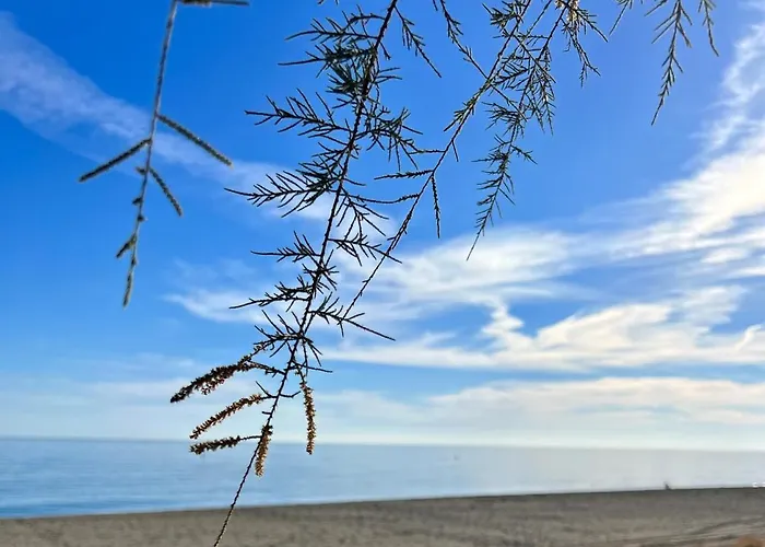 Paraiso Del Sol
